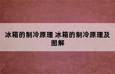 冰箱的制冷原理 冰箱的制冷原理及图解